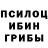 Галлюциногенные грибы MAGIC MUSHROOMS PGMN