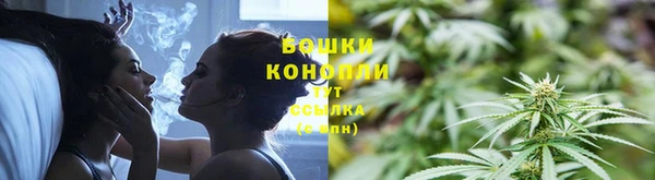 мескалин Касимов