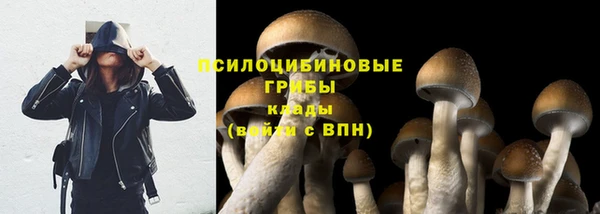 первитин Кинешма