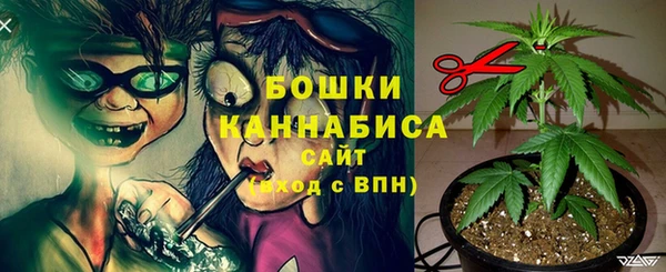 первитин Кинешма