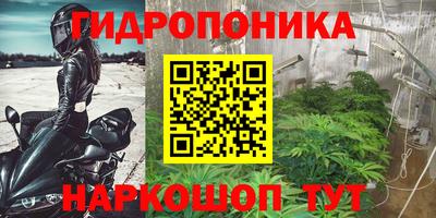 скорость Брянск