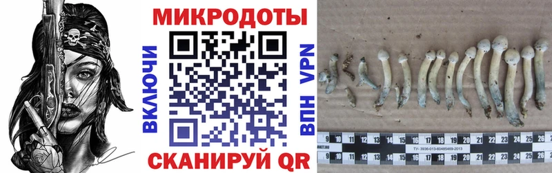 Галлюциногенные грибы мицелий  Кинешма 